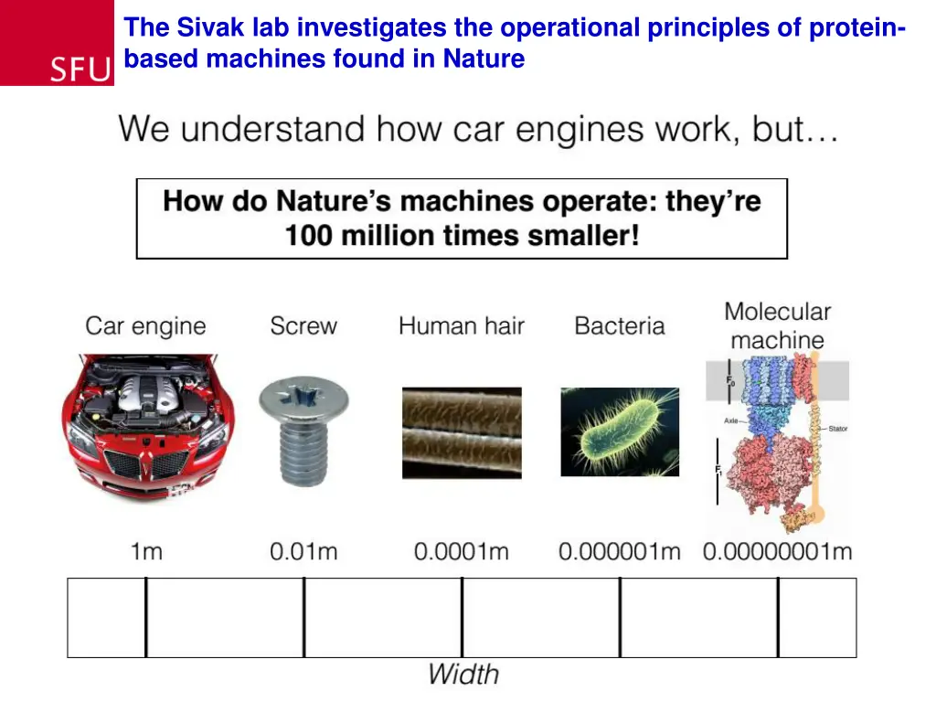 the sivak lab investigates the operational
