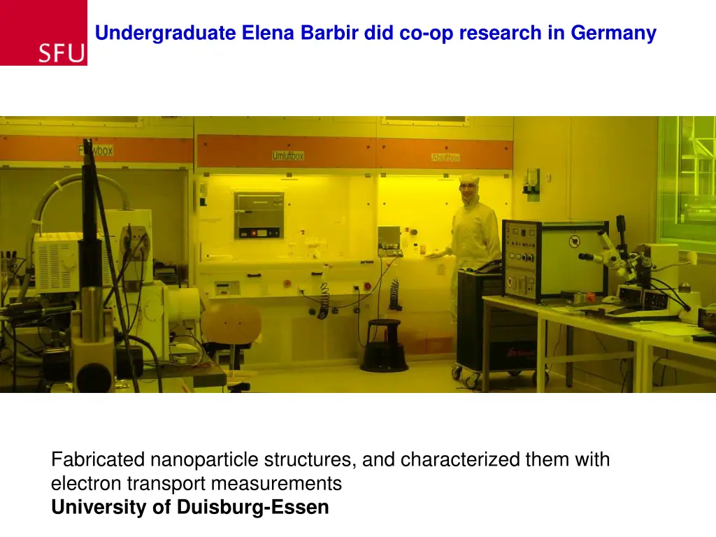 undergraduate elena barbir did co op research