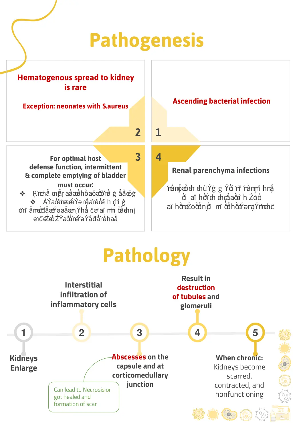 pathogenesis
