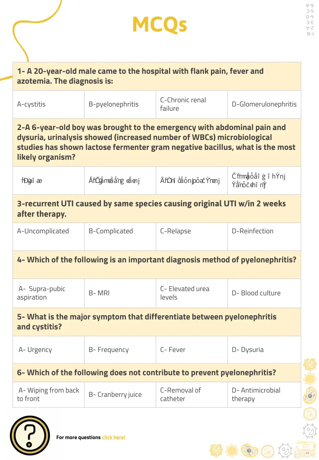 slide11