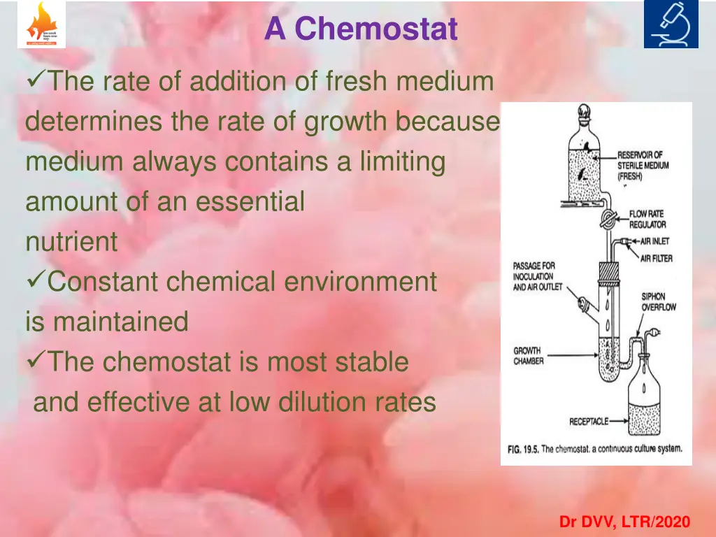 a chemostat