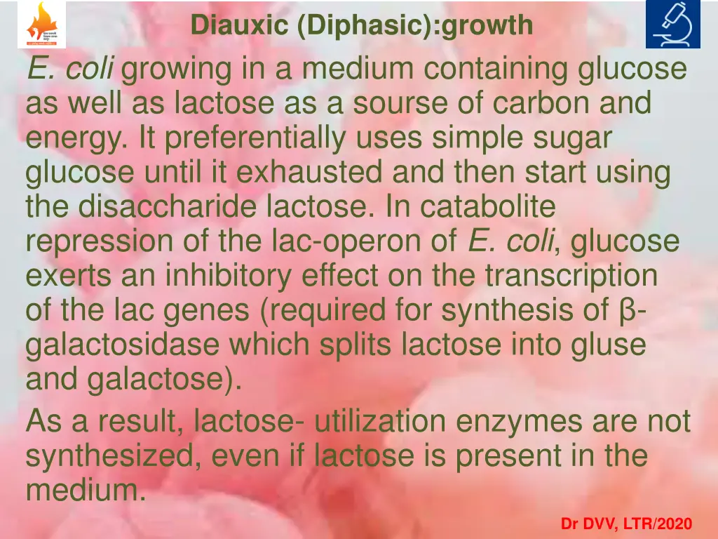 diauxic diphasic growth e coli growing