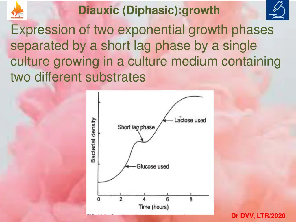 diauxic diphasic growth expression