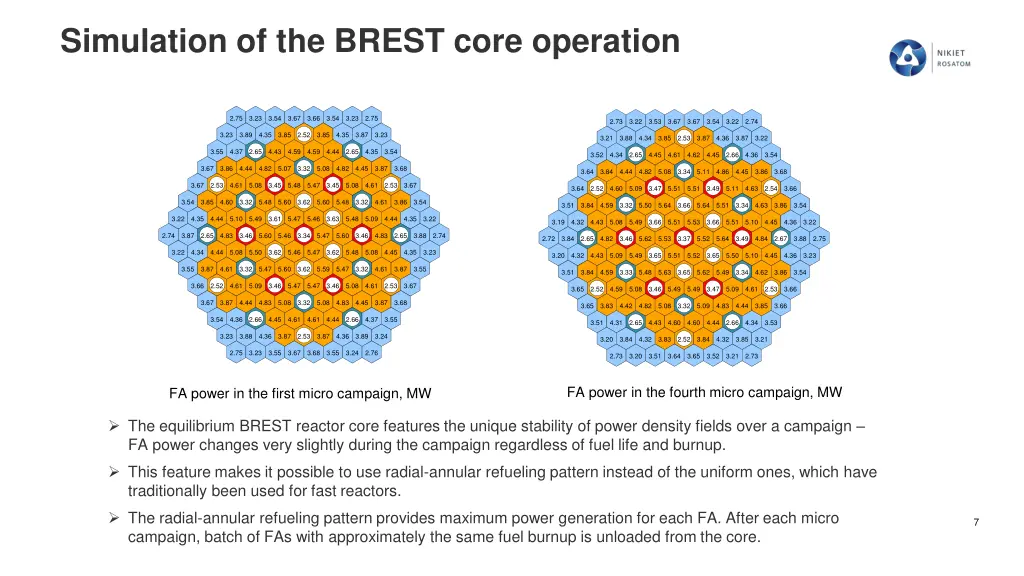 simulation of the brest core operation