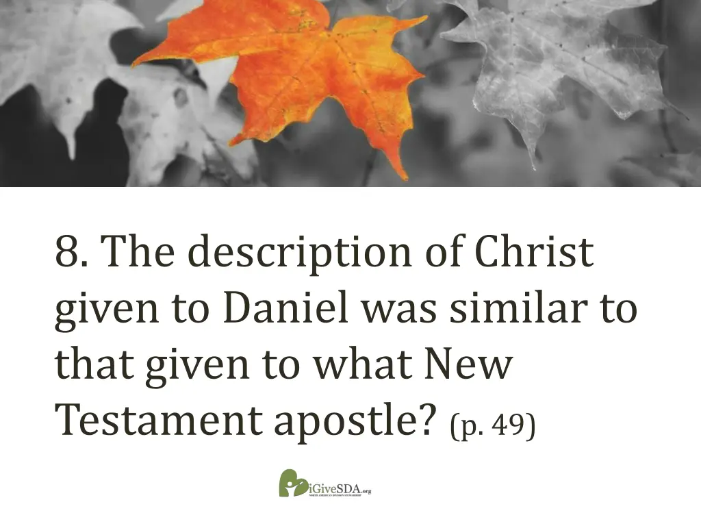 8 the description of christ given to daniel