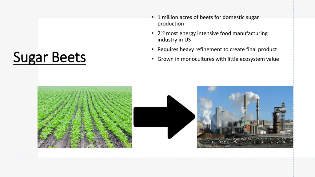 1 million acres of beets for domestic sugar