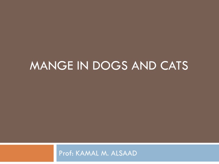 mange in dogs and cats