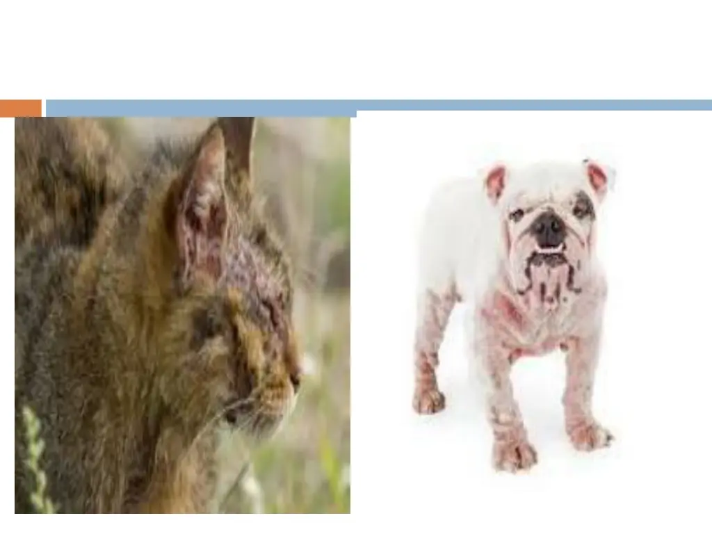 slide6