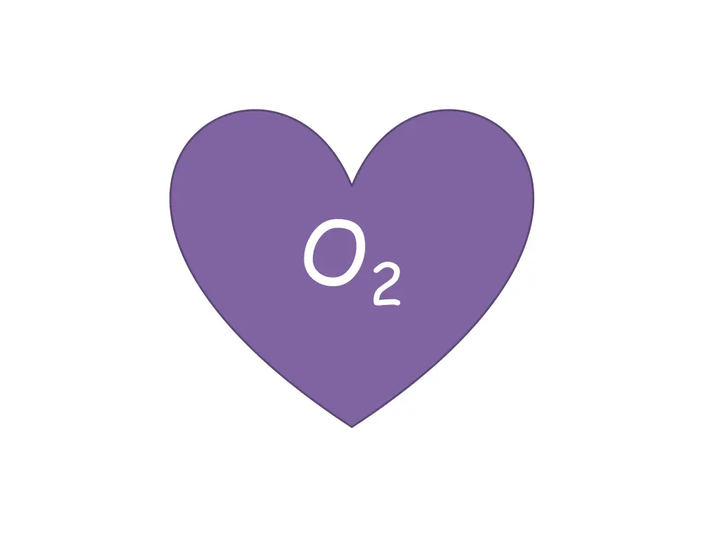 slide19