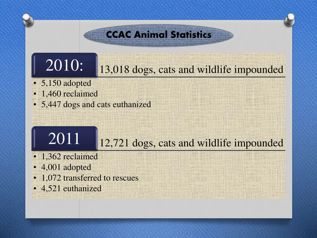 ccac animal statistics