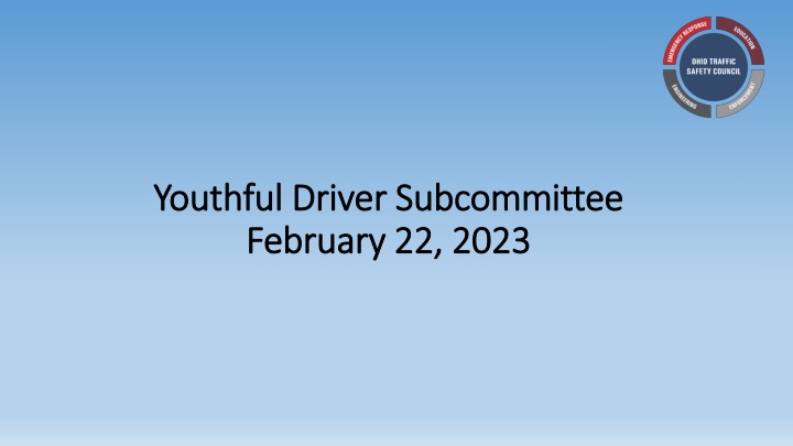youthful driver subcommittee youthful driver