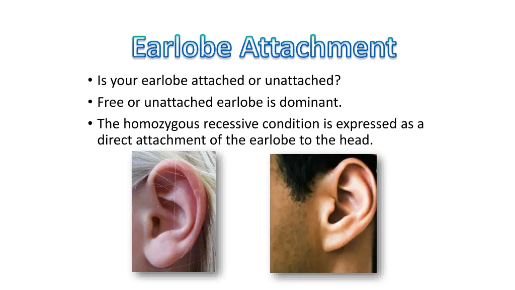 earlobe attachment