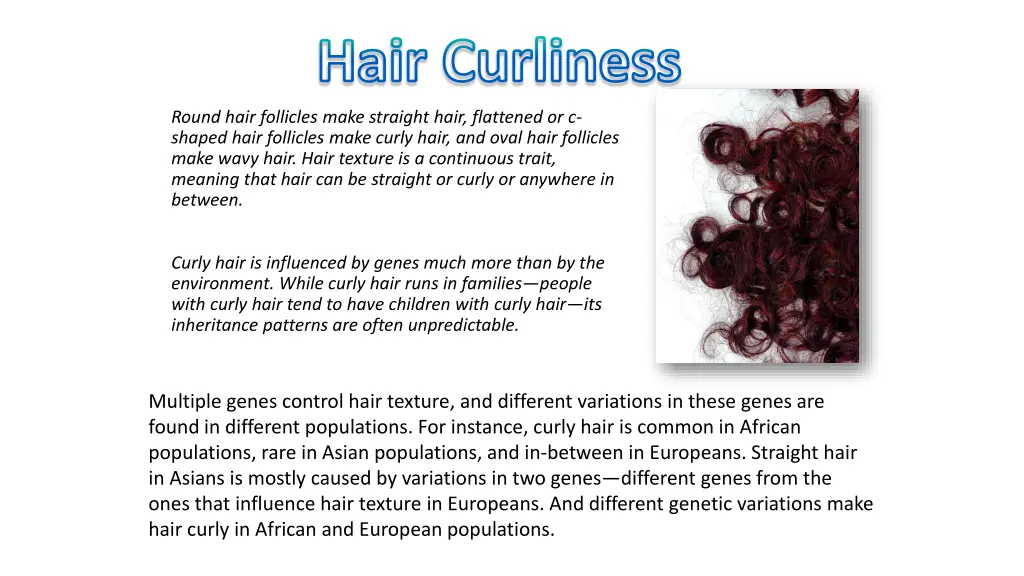 hair curliness