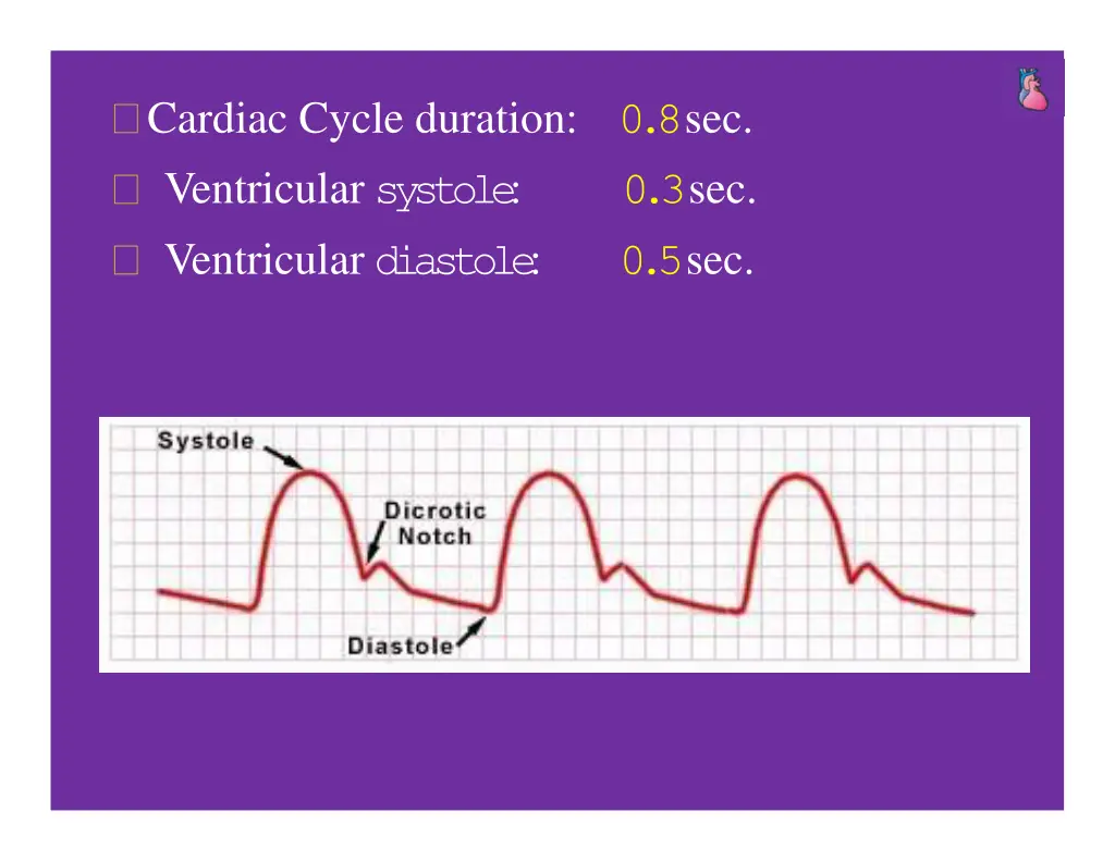 cardiac cycle duration 0 8 sec ventricular