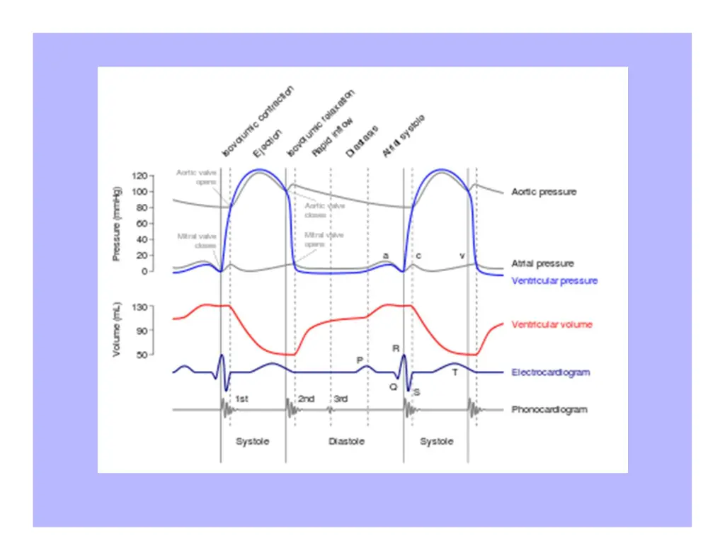 slide21