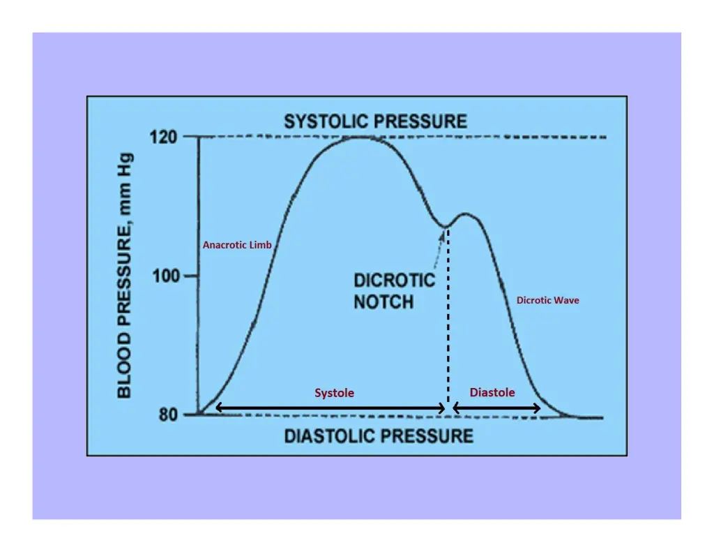 slide8