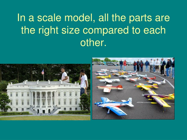 in a scale model all the parts are the right size