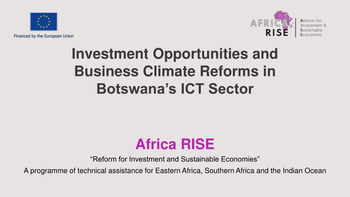 investment opportunities and business climate