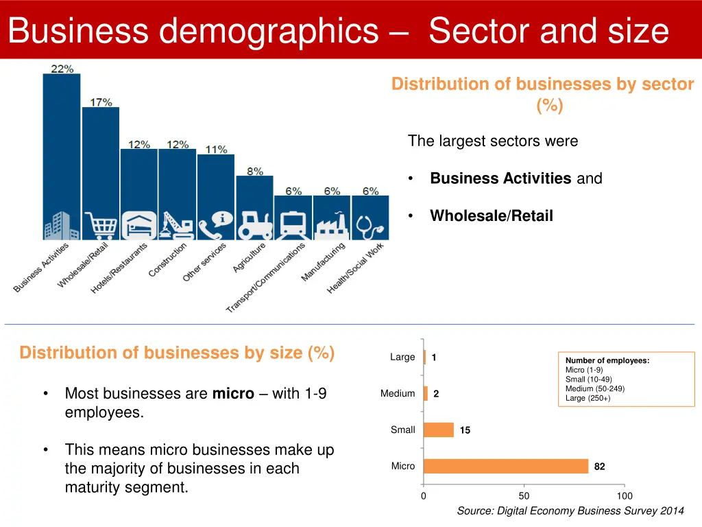 business demographics sector and size