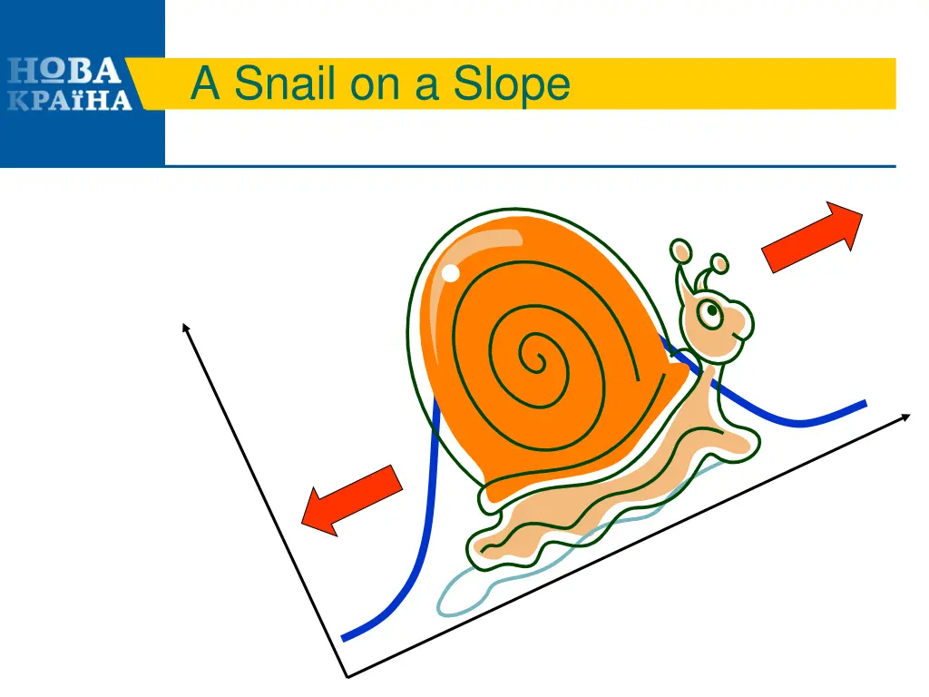 a snail on a slope