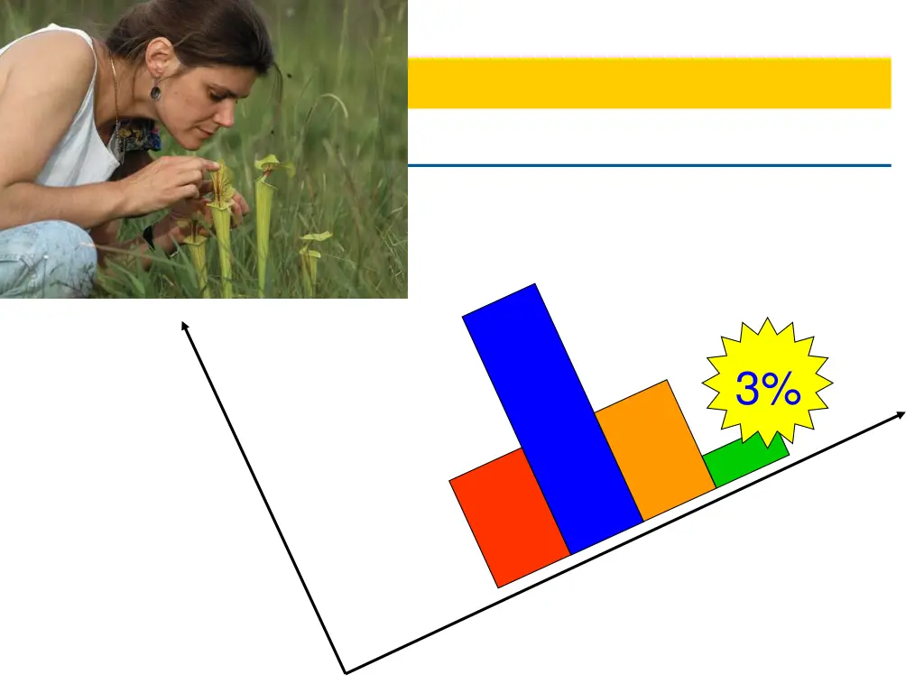 slide10