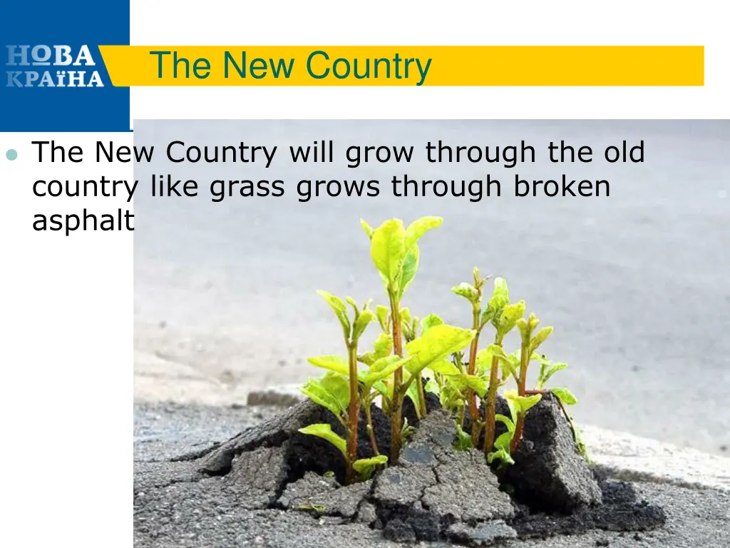 the new country