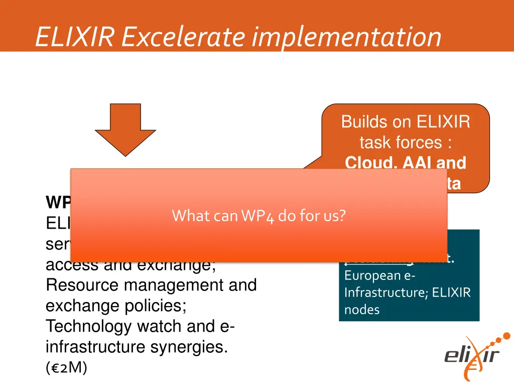 elixir excelerate implementation project