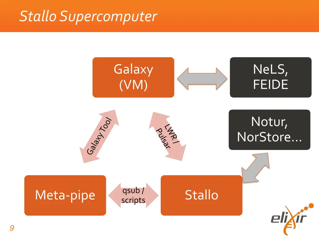 stallosupercomputer