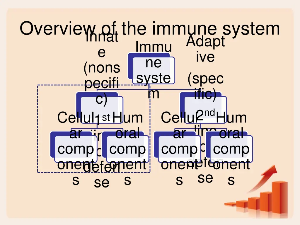 overview of the immune system immu ne syste