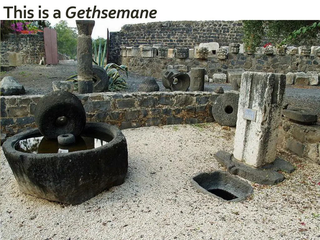 file capernaum roman olive press by david