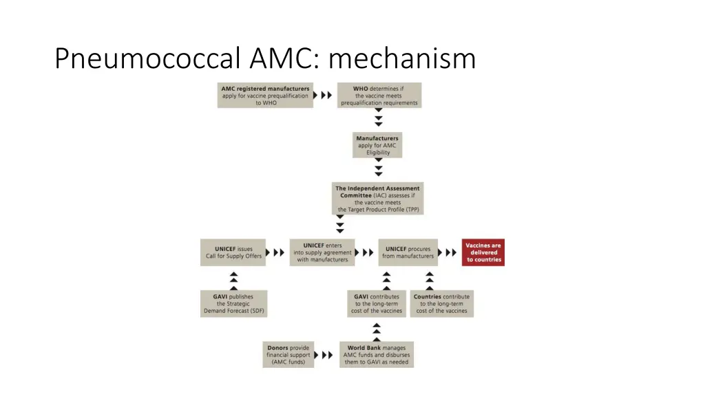 pneumococcal amc mechanism