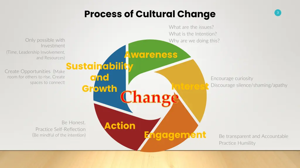 process of cultural change