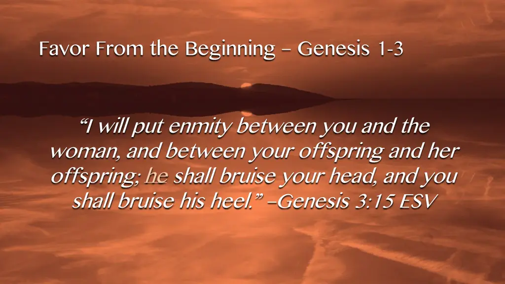 favor from the beginning genesis 1 3 8