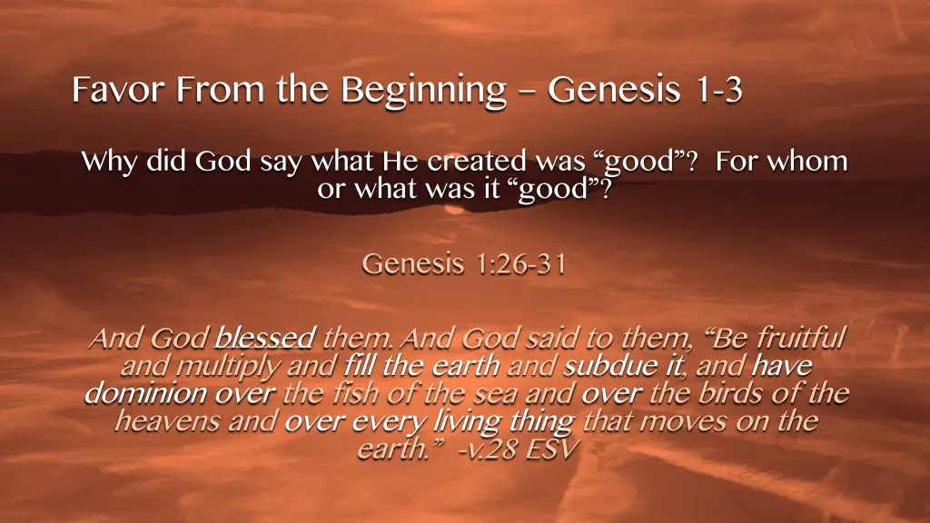 favor from the beginning genesis 16