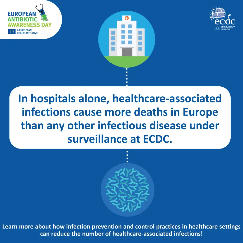 ecdc normal 6