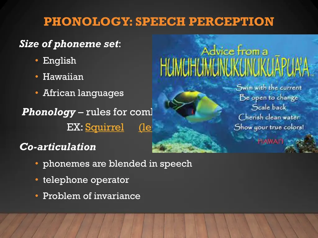 phonology speech perception