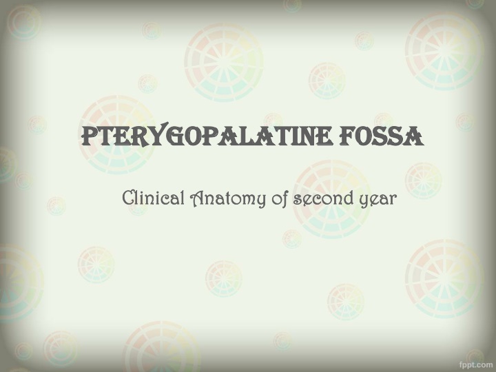 pterygopalatine pterygopalatine fossa