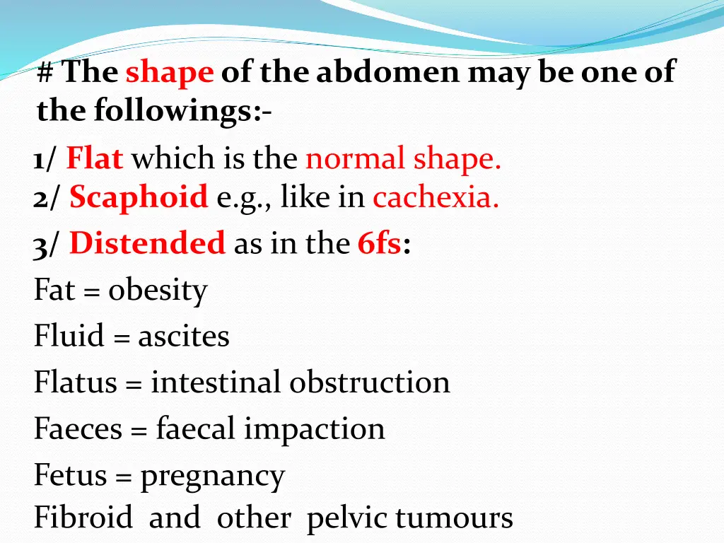 the shapeof the abdomen