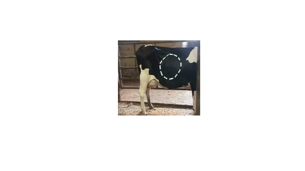 slide11