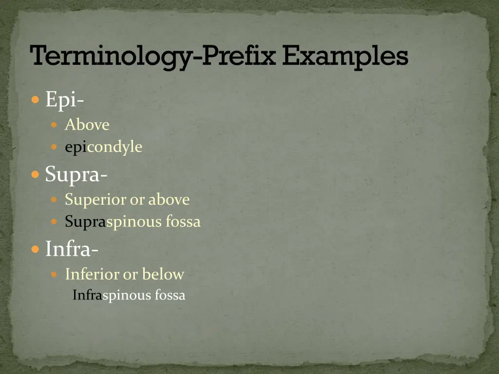 terminology prefix examples 2