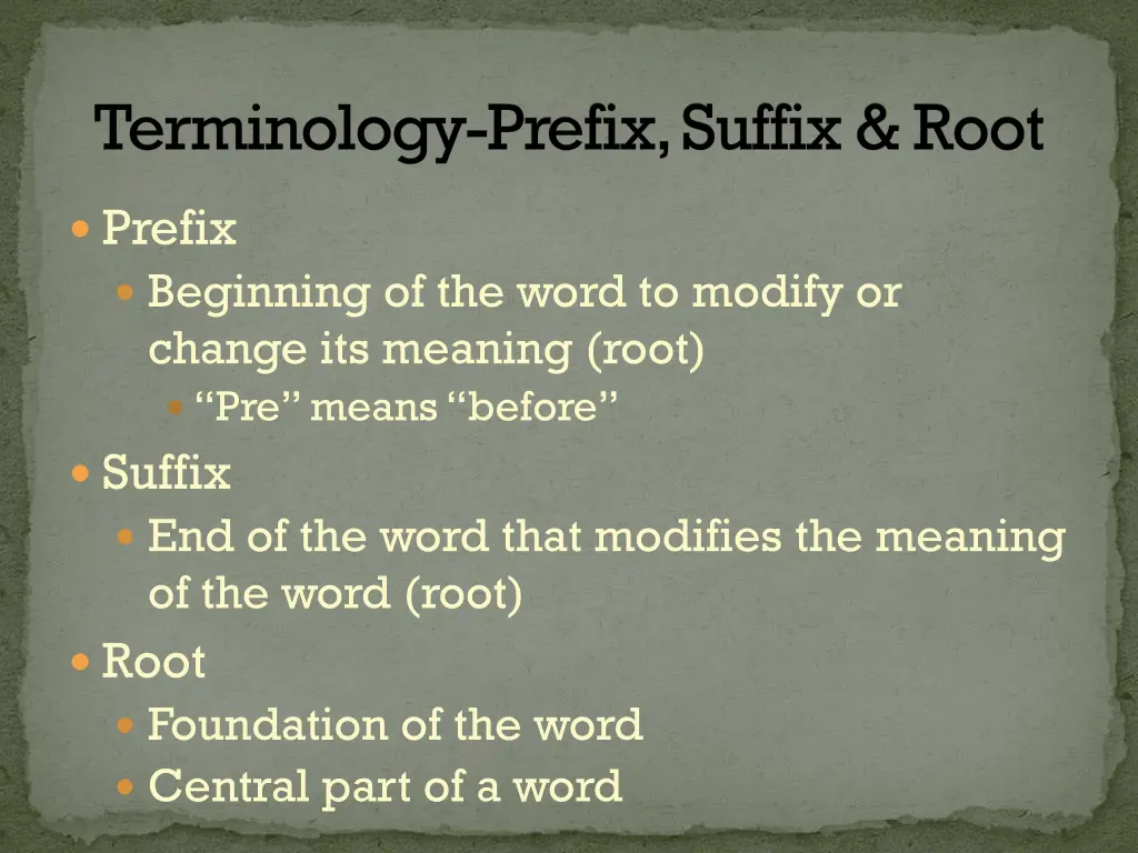 terminology prefix suffix root