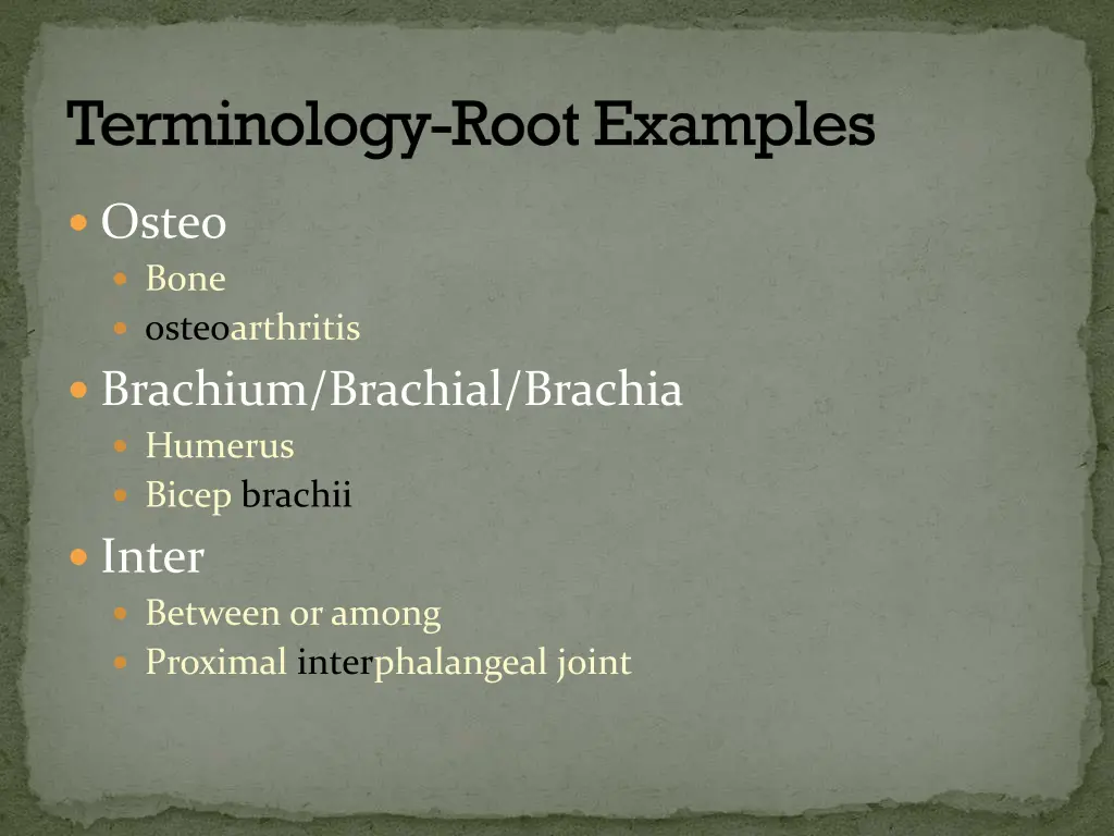 terminology root examples 2