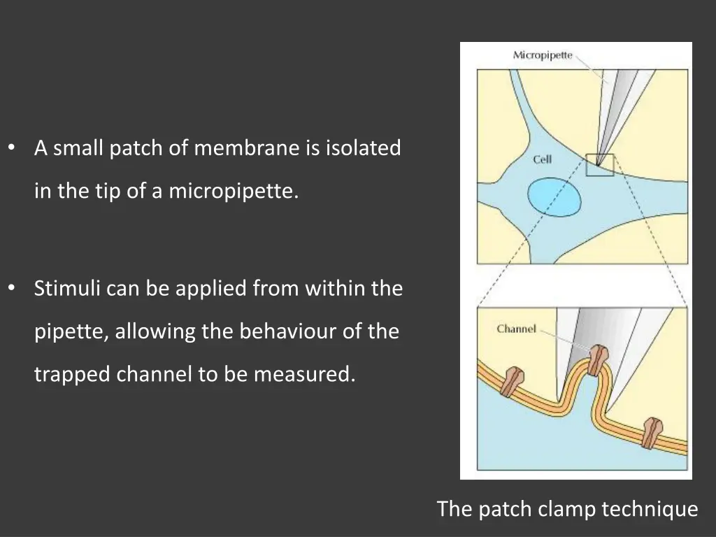 a small patch of membrane is isolated