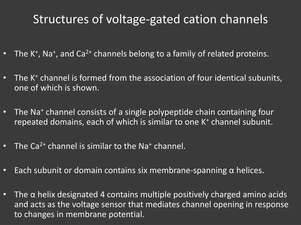 structures of voltage gated cation channels