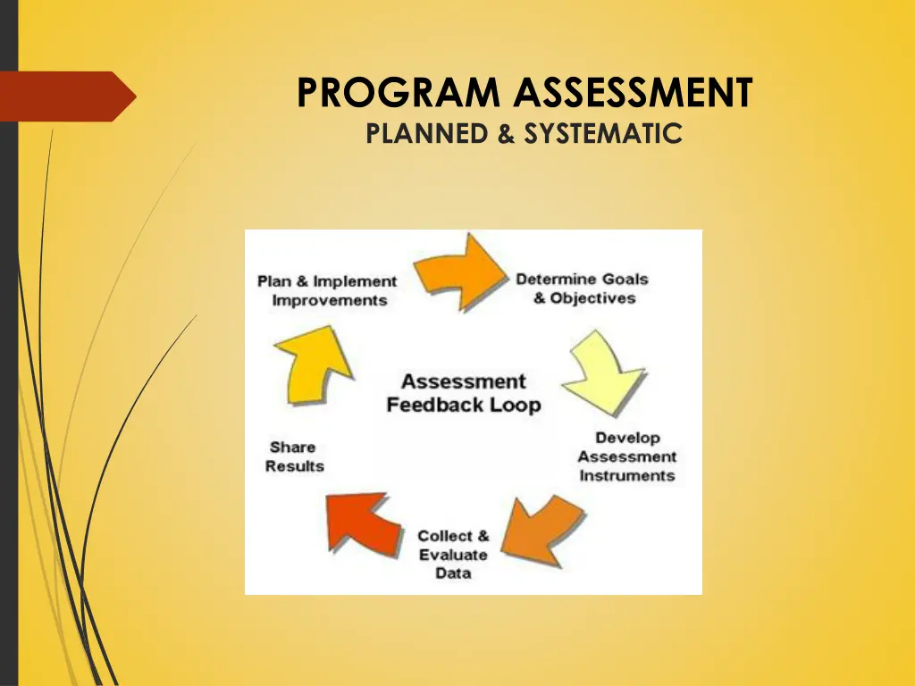 program assessment planned systematic