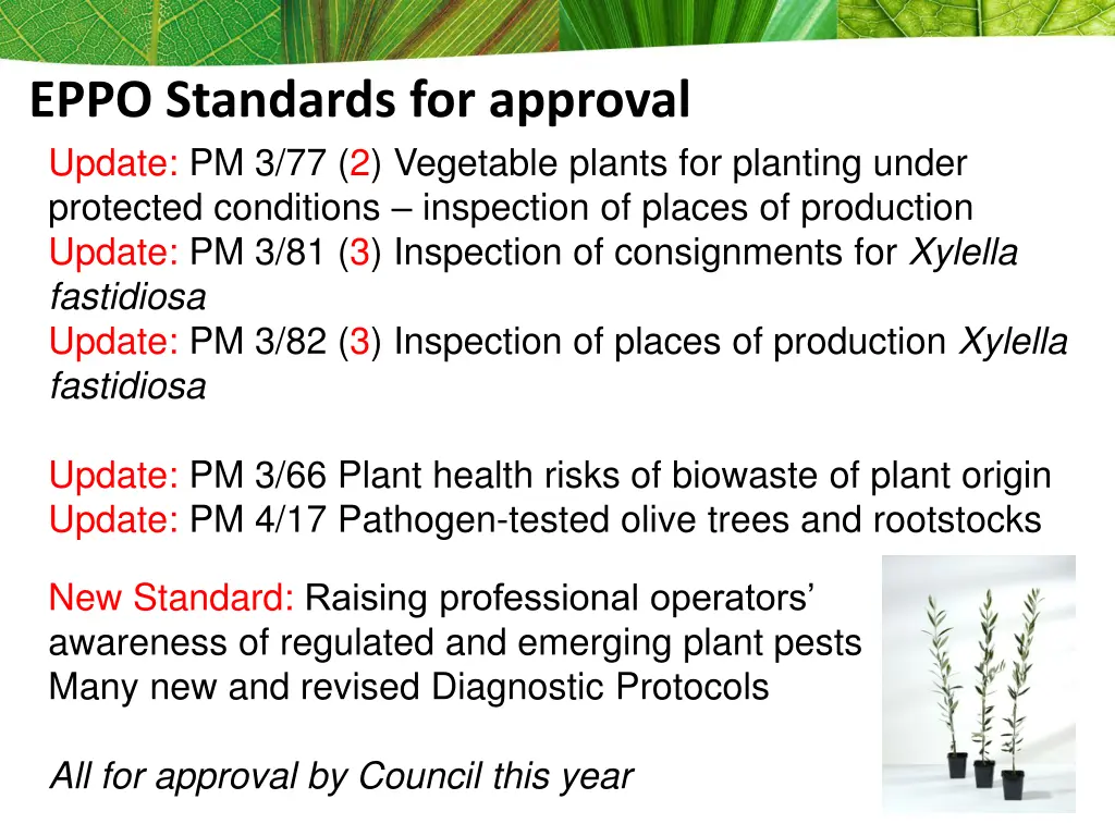 eppo standards for approval update