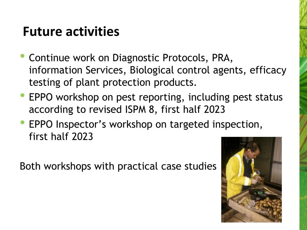 future activities
