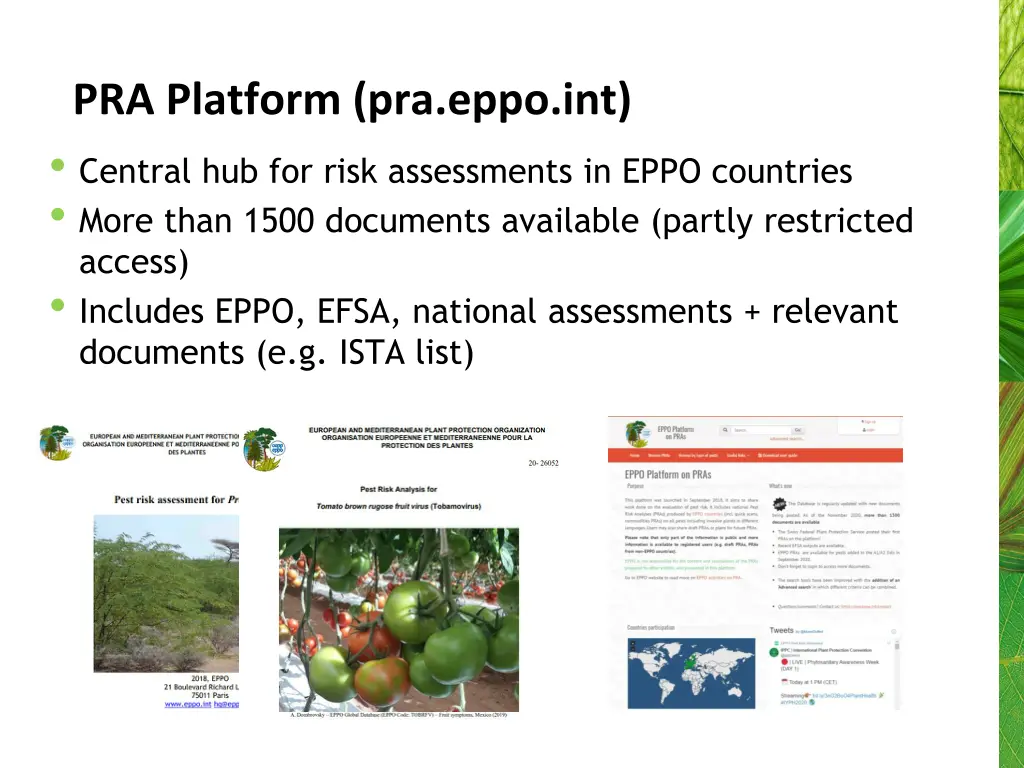 pra platform pra eppo int central hub for risk