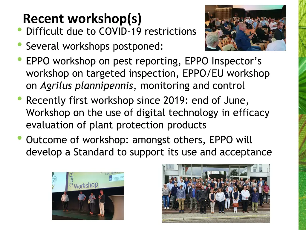 recent workshop s difficult due to covid