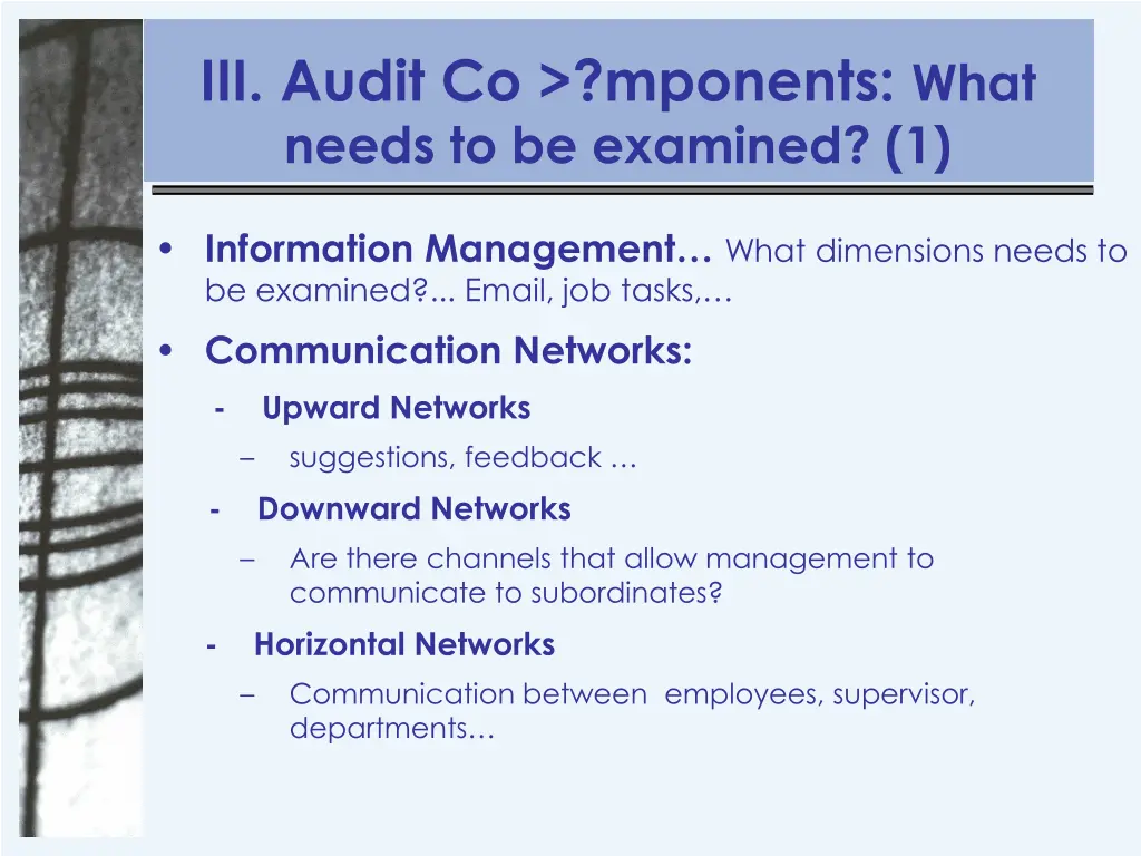 iii audit co mponents what needs to be examined 1